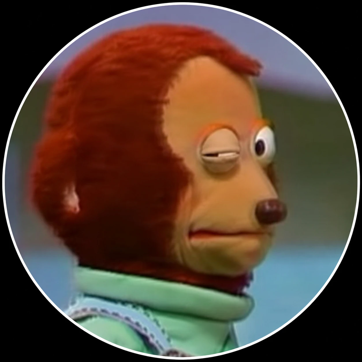 Meme monkey PFP with confused blink and awkward expression