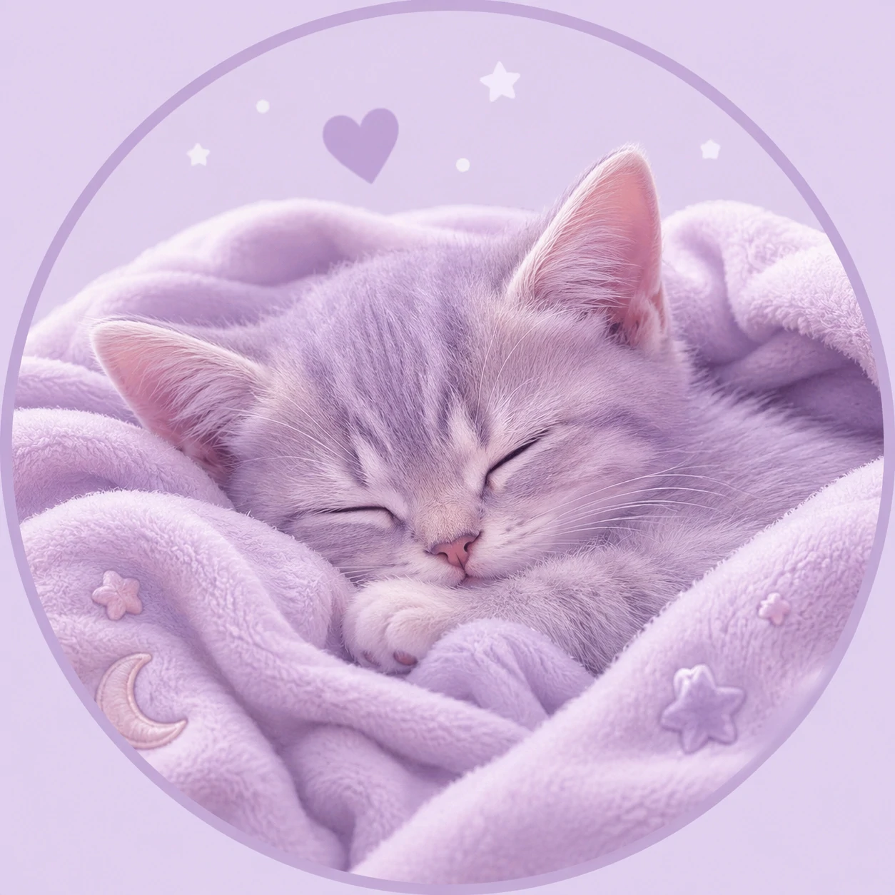 Pastel purple cat PFP with sleeping kitten and pale violet blanket