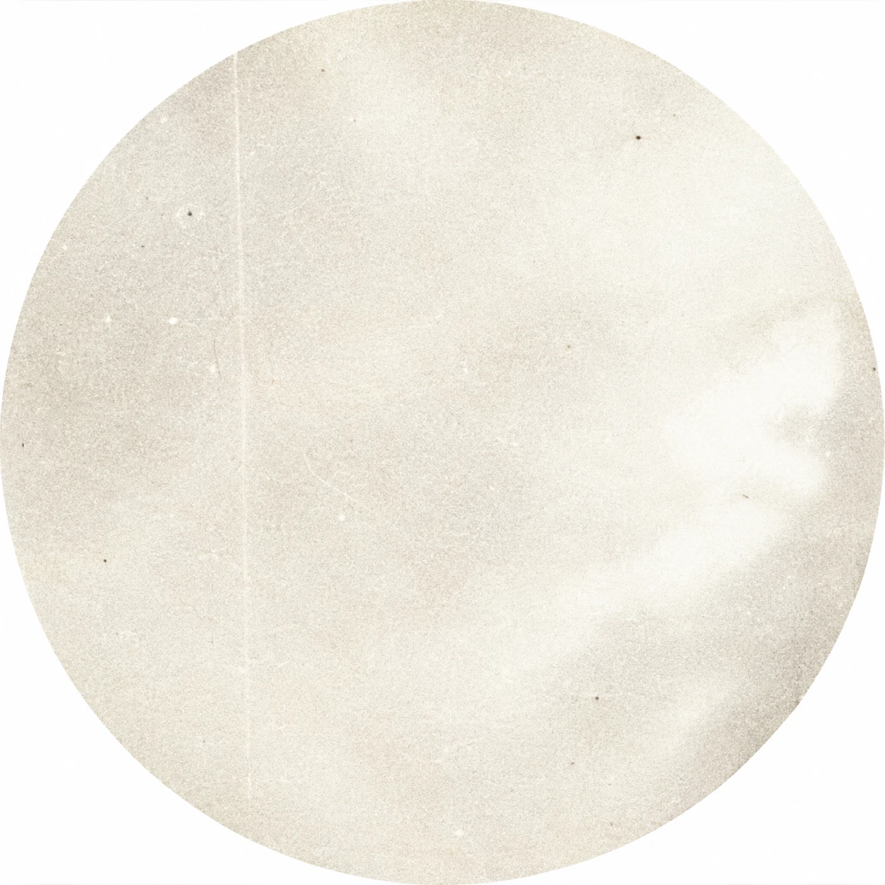 Aesthetic white PFP with grainy vintage film texture and washed-out white tones