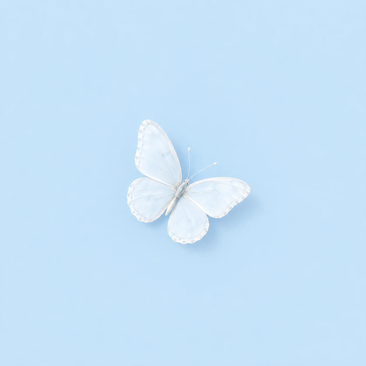 Minimal light blue profile picture with a single delicate white butterfly