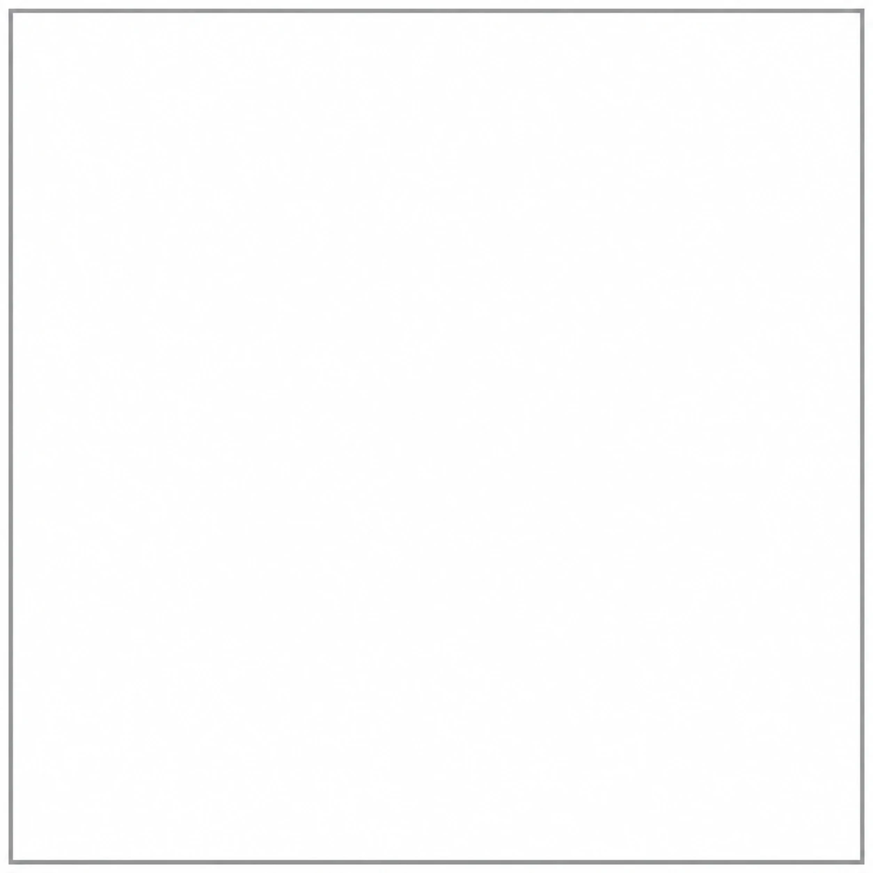Plain white PFP with a thin grey border framing the clean white centre