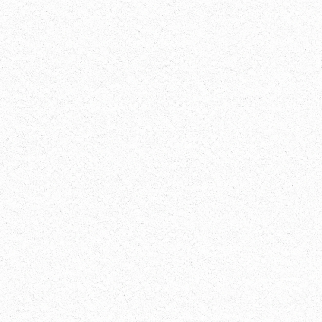 Blank white PFP with a faint film noise texture across the white surface
